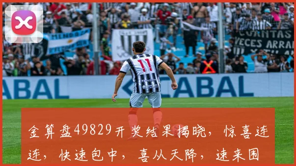 金算盘49829开奖结果揭晓，惊喜连连，快速包中，喜从天降，速来围观