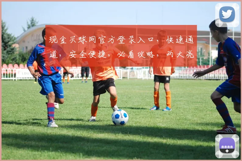 现金买球网官方登录入口，快速通道，安全便捷，必看攻略，两大亮点揭示